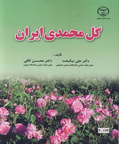 گل محمدی ایران